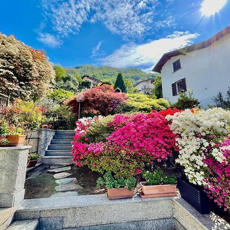 Eden Sul Lago Di Como Nesso Zewnętrze zdjęcie