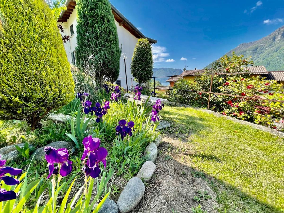 Eden Sul Lago Di Como Nesso Zewnętrze zdjęcie